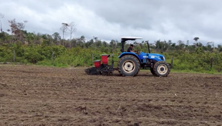 “Roça sem fogo”: comunidades rurais e Indígenas lideram revolução agrícola sustentável com apoio do Sebrae no Pará