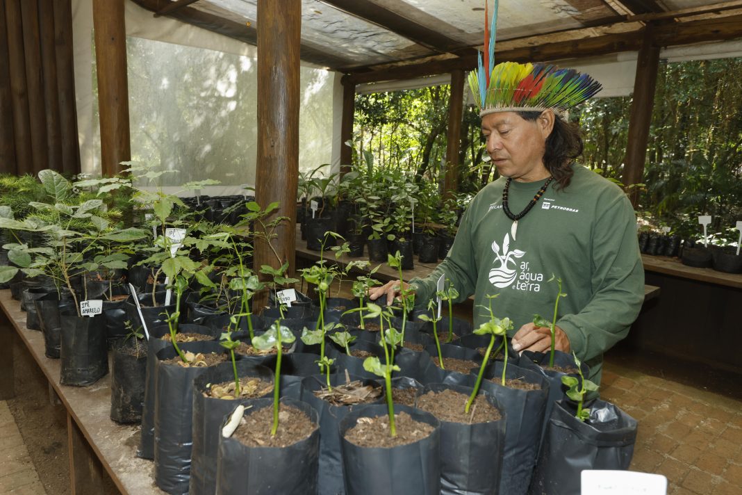 Lomba do Pinheiro - POA_Cacique Cirilo_Creditos IECAM Divulgação (3)