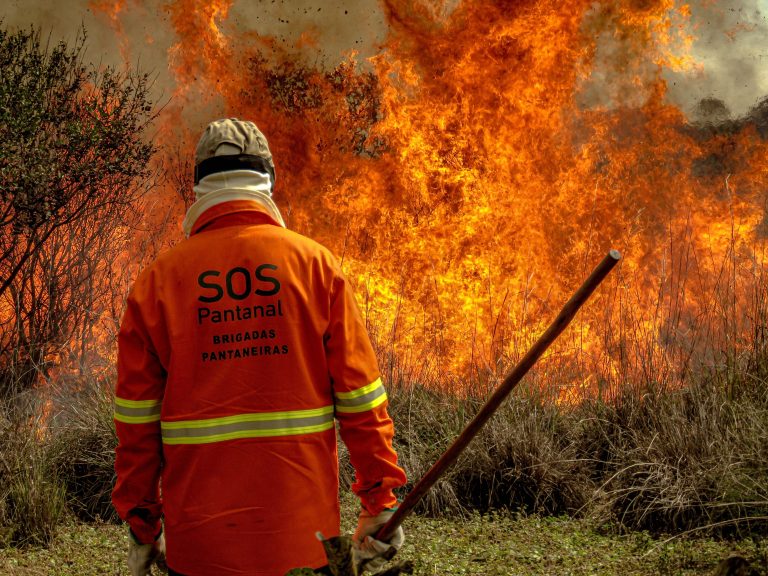 Pantanal é o bioma mais atingido por incêndios nos últimos 40 anos