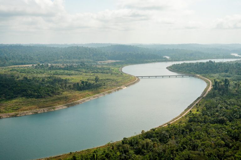 Novo edital do Floresta Viva vai investir R$ 6,3 mi na restauração ecológica da Bacia do Xingu