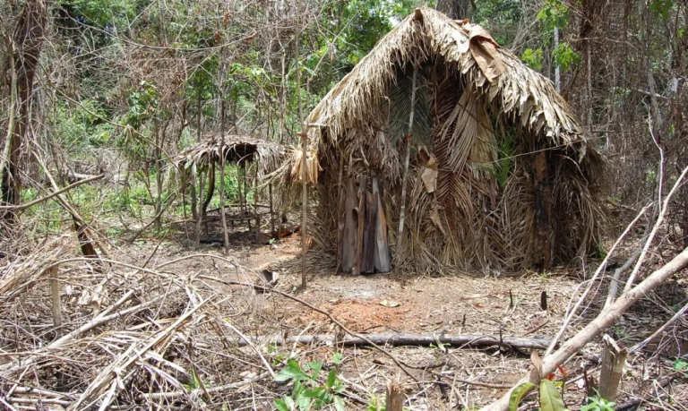 Cimi investiga a presença de parentes do ‘Índio do Buraco’, em Rondônia 