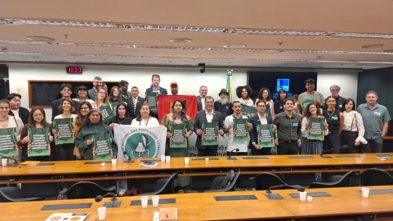 “Na Amazônia tem uma área de floresta do tamanho da Bahia que pode desaparecer”, alerta IPAM no Congresso