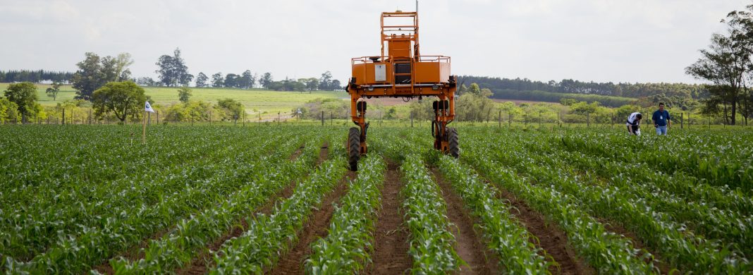 Ozonização na agricultura