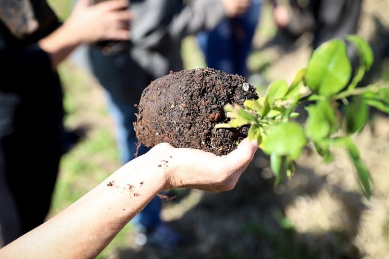 Comuá pelo Clima: plataforma reúne soluções locais que enfrentam os impactos da crise climática no Brasil 