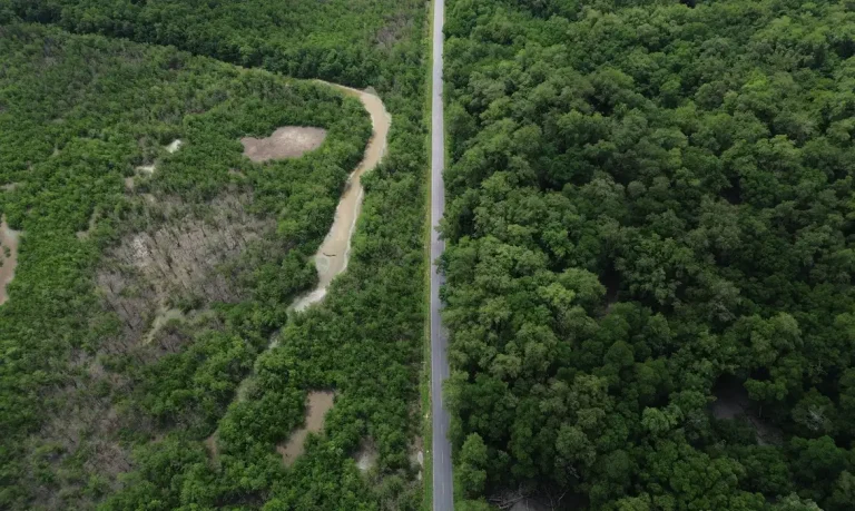 Infraestrutura Verde-Cinza na Amazônia Costeira inaugura nova fronteira de adaptação climática e financiamento no Brasil