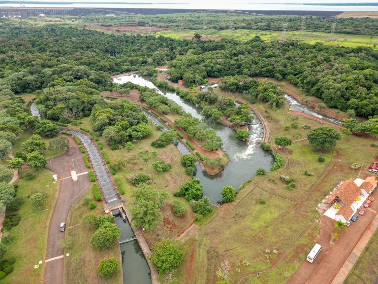 Itaipu capacita técnicos em cirurgia de peixes para monitoramento inédito