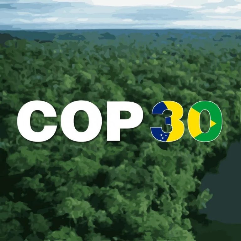 Após a COP30: o que realmente mudou — e o que as empresas precisam observar agora