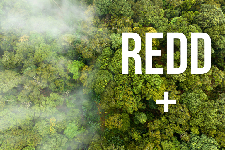 Arte Comunicação MPF