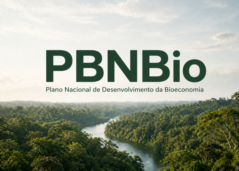 Bioeconomia: o Brasil tenta transformar biodiversidade em desenvolvimento sustentável
