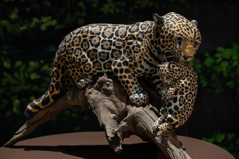 Exposição “Mata Viva” segue no Rio de Janeiro até 13 de junho
