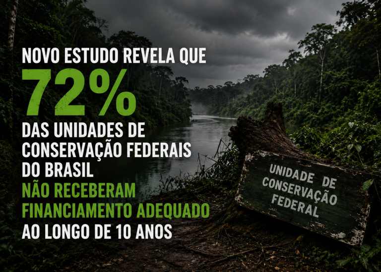 Estudo revela déficit crítico no financiamento das unidades de conservação federais. Amazônia é a mais afetada