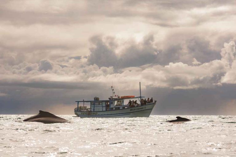 Ciência e turismo: os caminhos para o futuro de Abrolhos