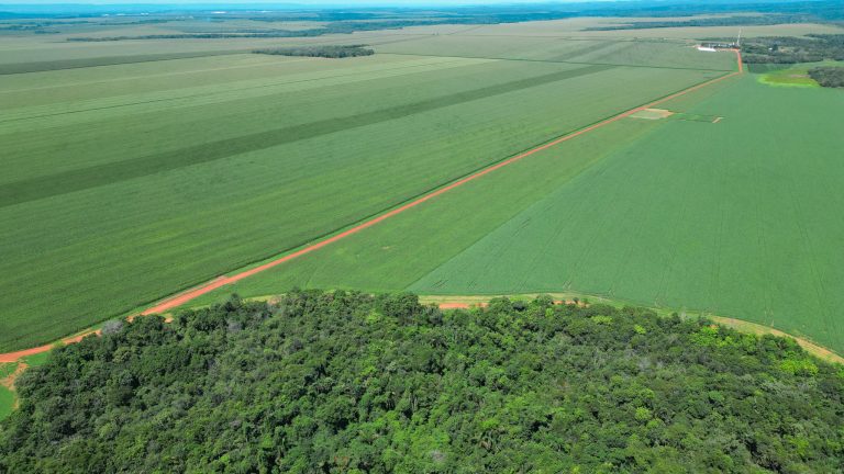 Fórum de Agricultura Sustentável do Tocantins articulação para impulsionar agropecuária na região