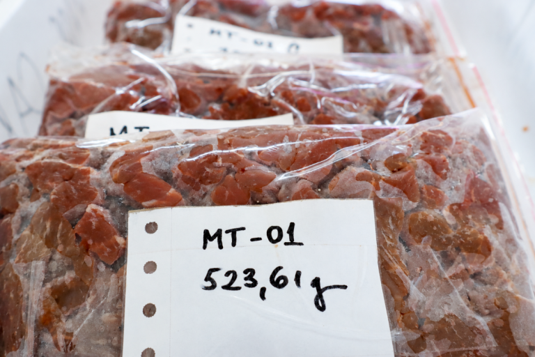 Ciência desvenda a origem dos alimentos por meio de assinaturas isotópicas