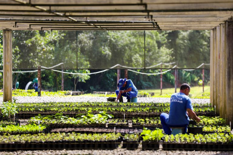 Programa socioambiental da Cedae disputa premiação internacional de sustentabilidade