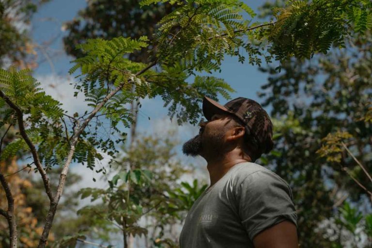 Projeto em Abrolhos planta mais de 2 milhões de mudas da Mata Atlântica e transforma o futuro de jovens 