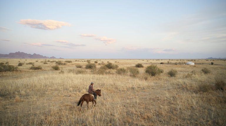 O futuro da Caatinga começa a ser decidido durante a COP 17 na Mongólia