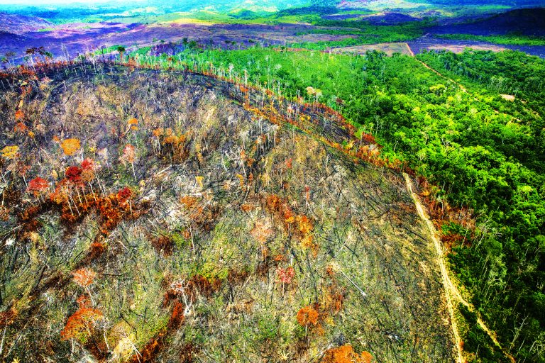 Mais de 2 mil localidades da Amazônia estiveram altamente expostas à seca durante o El Niño em 2024